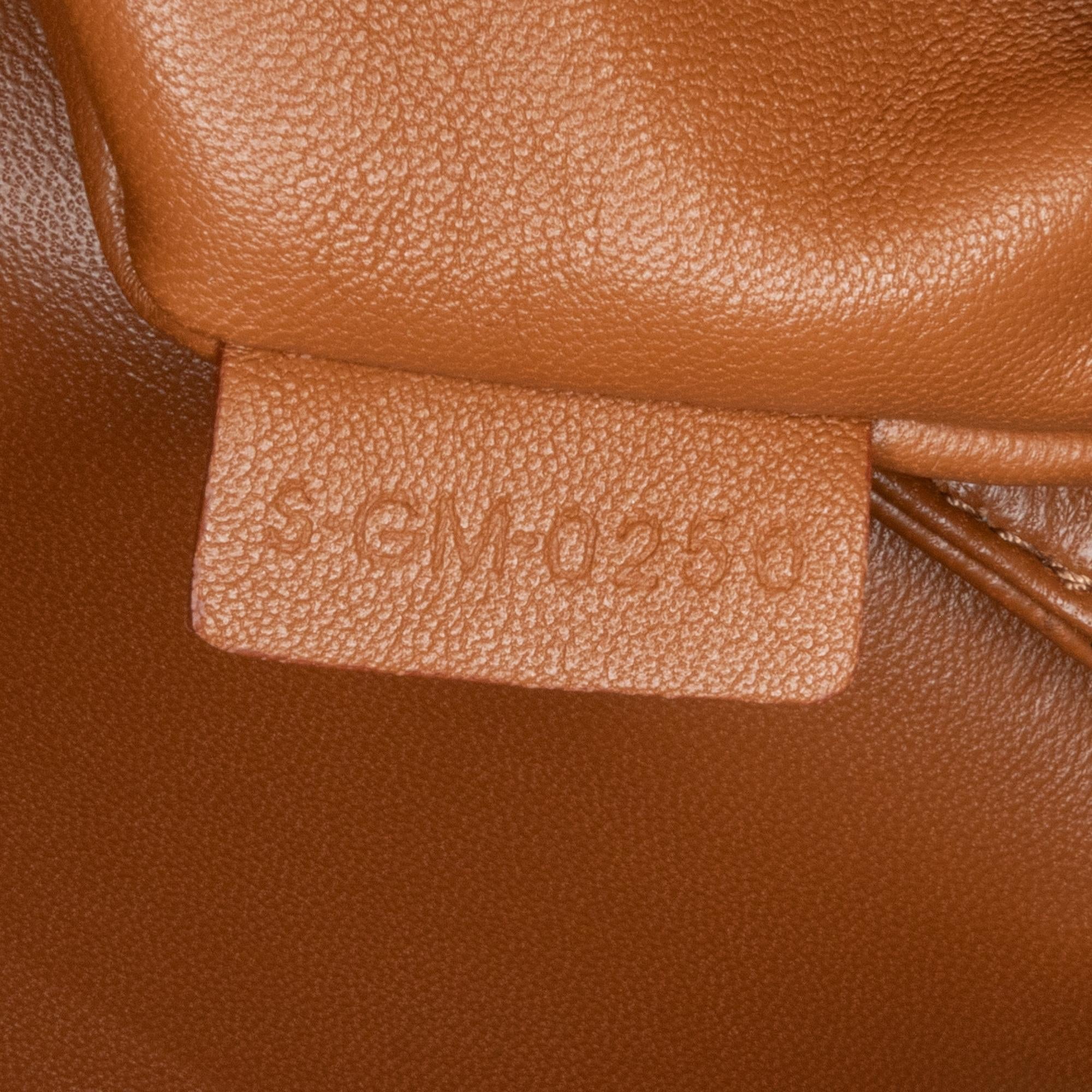 Celine Teen Canvas Triomphe (SHG-sdwxQ4)