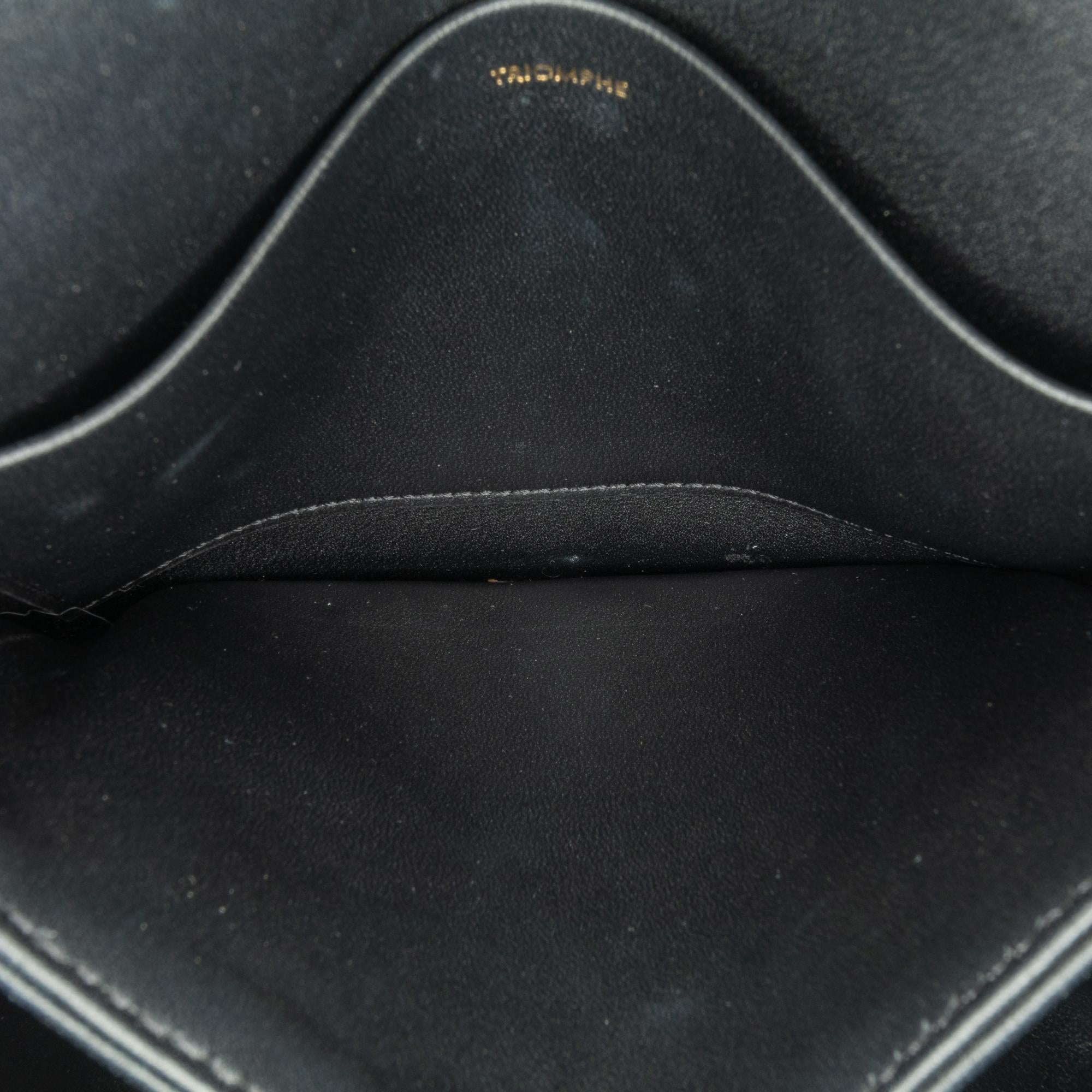 Celine Teen Shiny Calfskin Triomphe Bag (SHG-vb9Nof)