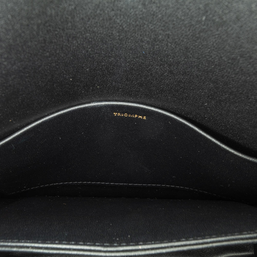 Celine Teen Shiny Calfskin Triomphe Crossbody (SHG-wclCE3)