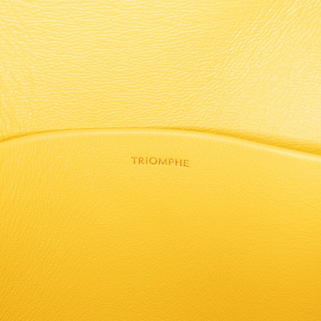 Celine Teen Triomphe Crossbody (SHG-vmVG6P)