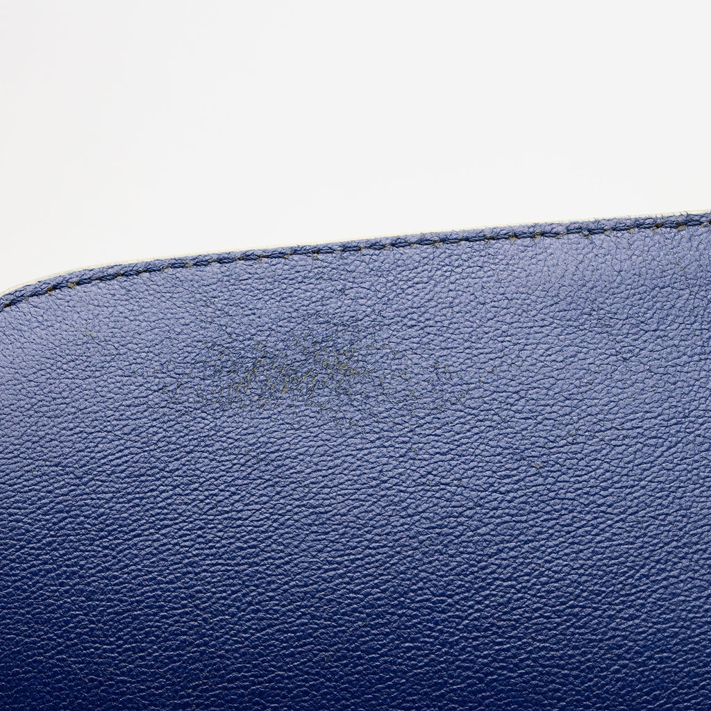Celine Tricolor Calfskin Medium Trapeze Bag (SHF-BGiPD7)