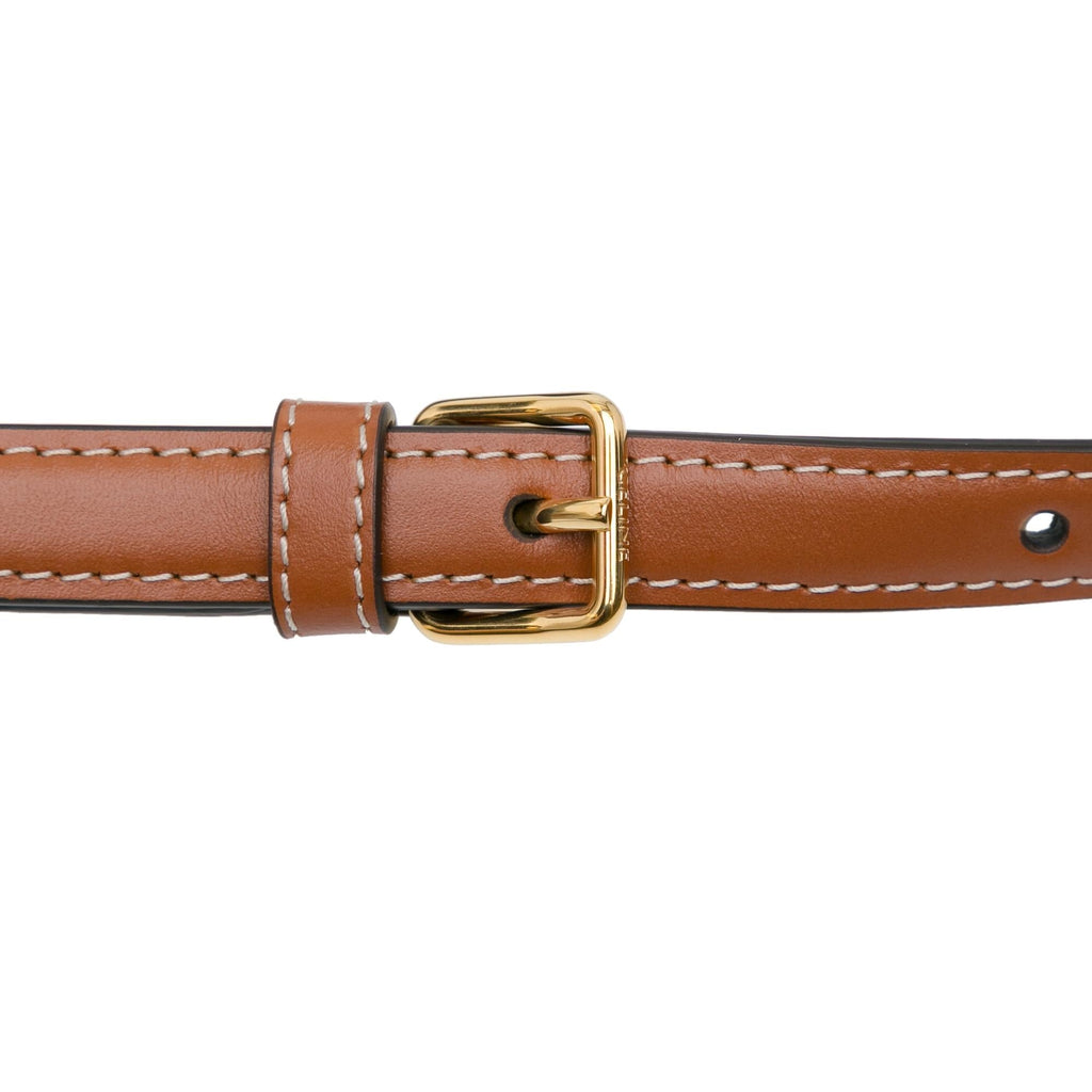 Celine Triomphe Calfskin Claude Shoulder Bag (SHG-bdLDog)