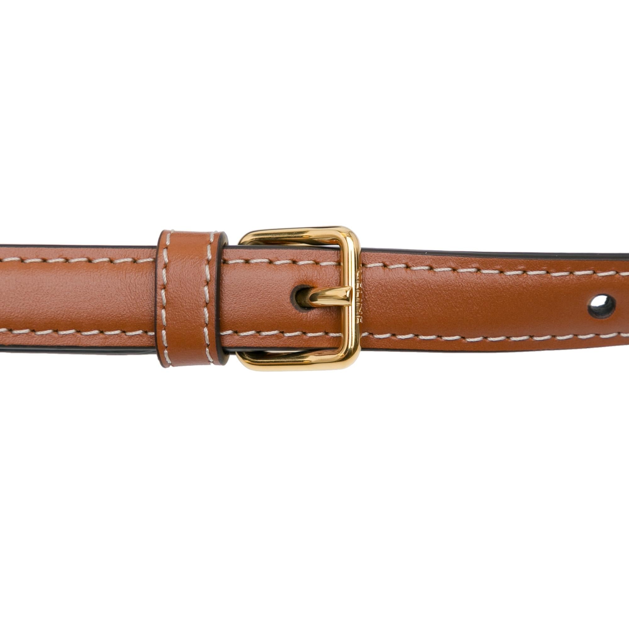 Celine Triomphe Calfskin Claude Shoulder Bag (SHG-bdLDog)