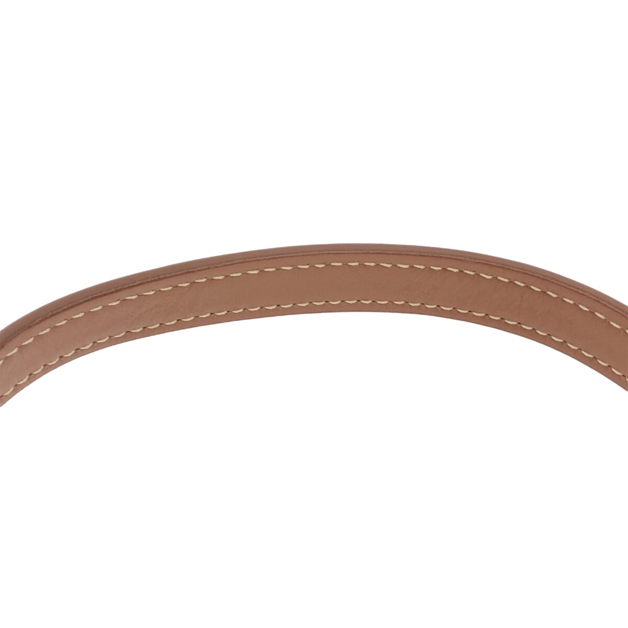Celine Triomphe Canvas Camera Bag (SHG-L939Ua)