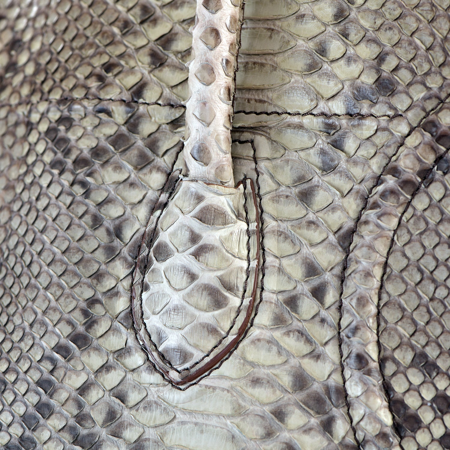 Large Snakeskin Phantom Tote
