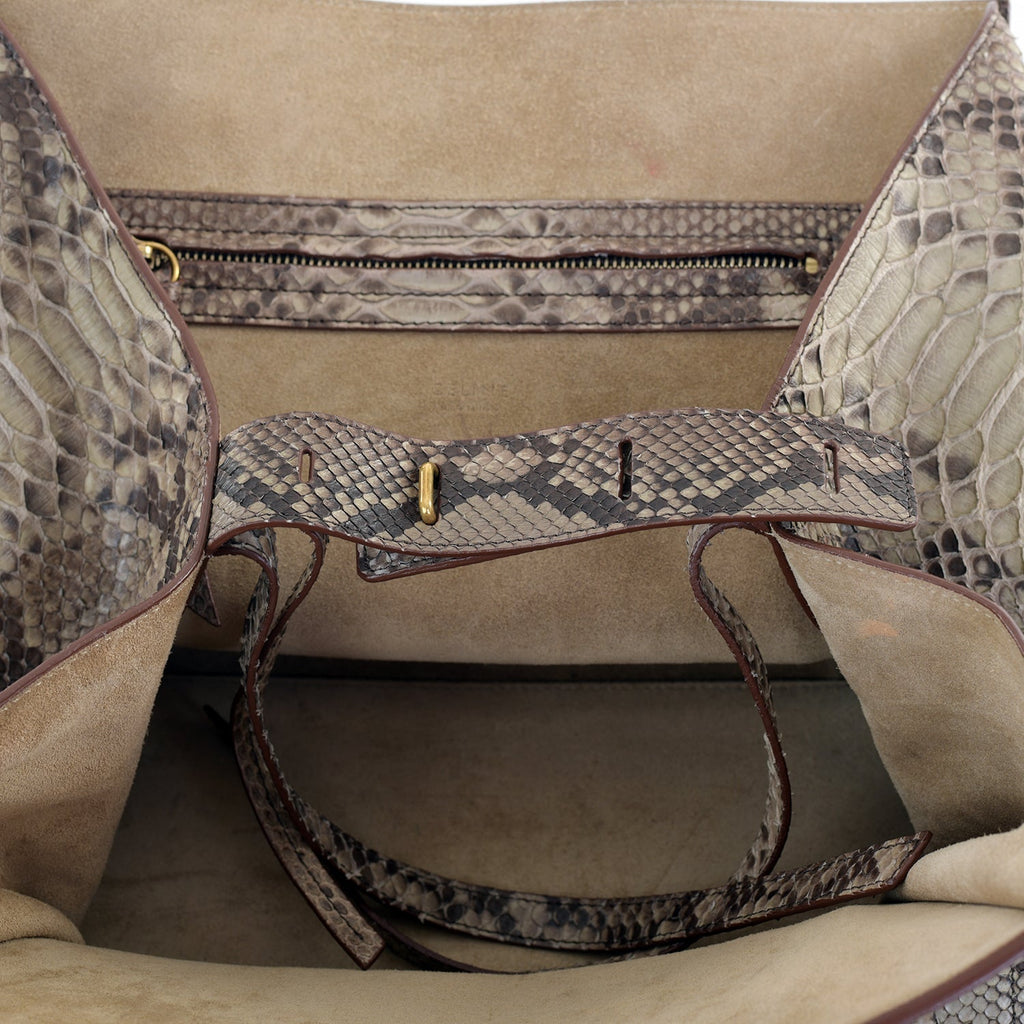 Large Snakeskin Phantom Tote