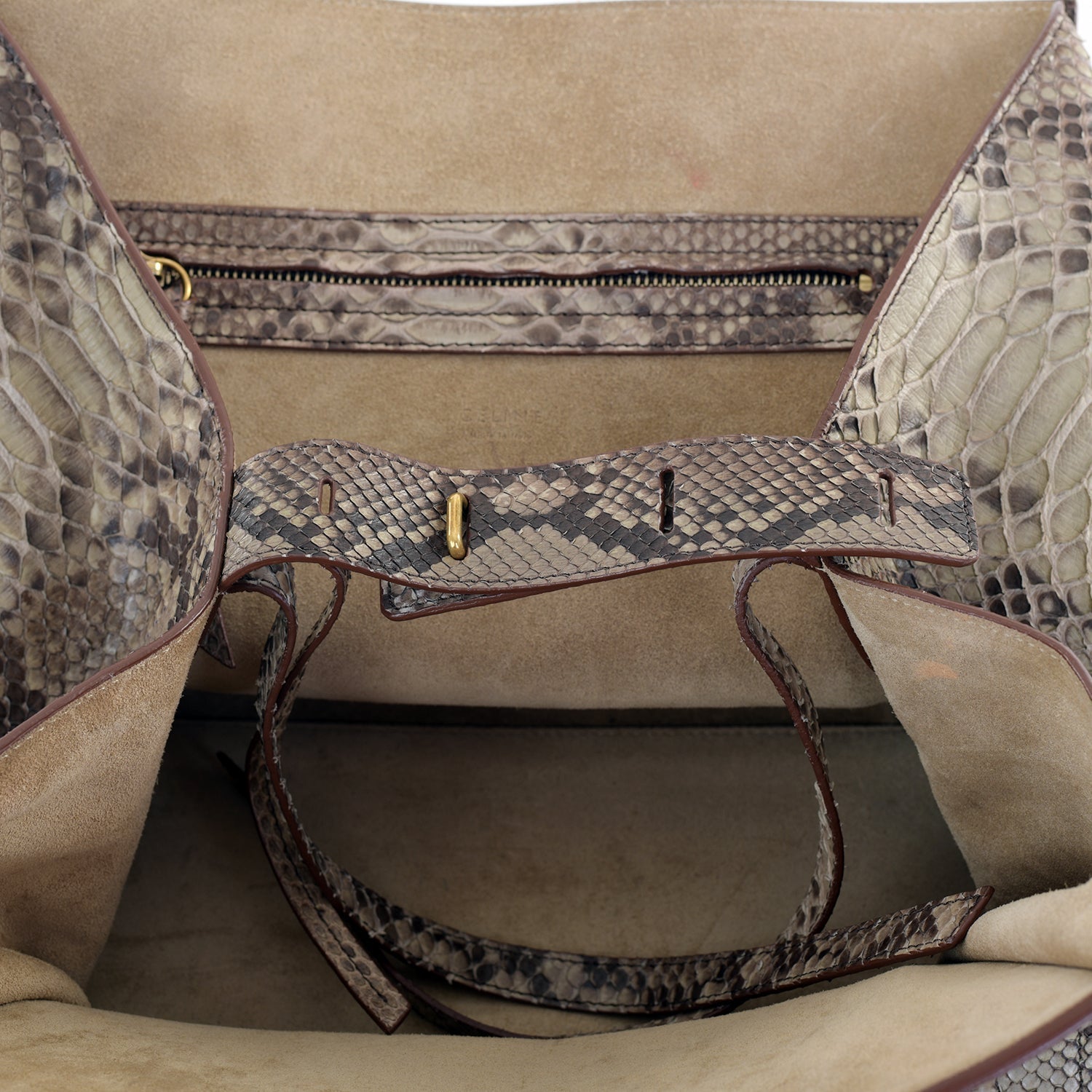 Large Snakeskin Phantom Tote