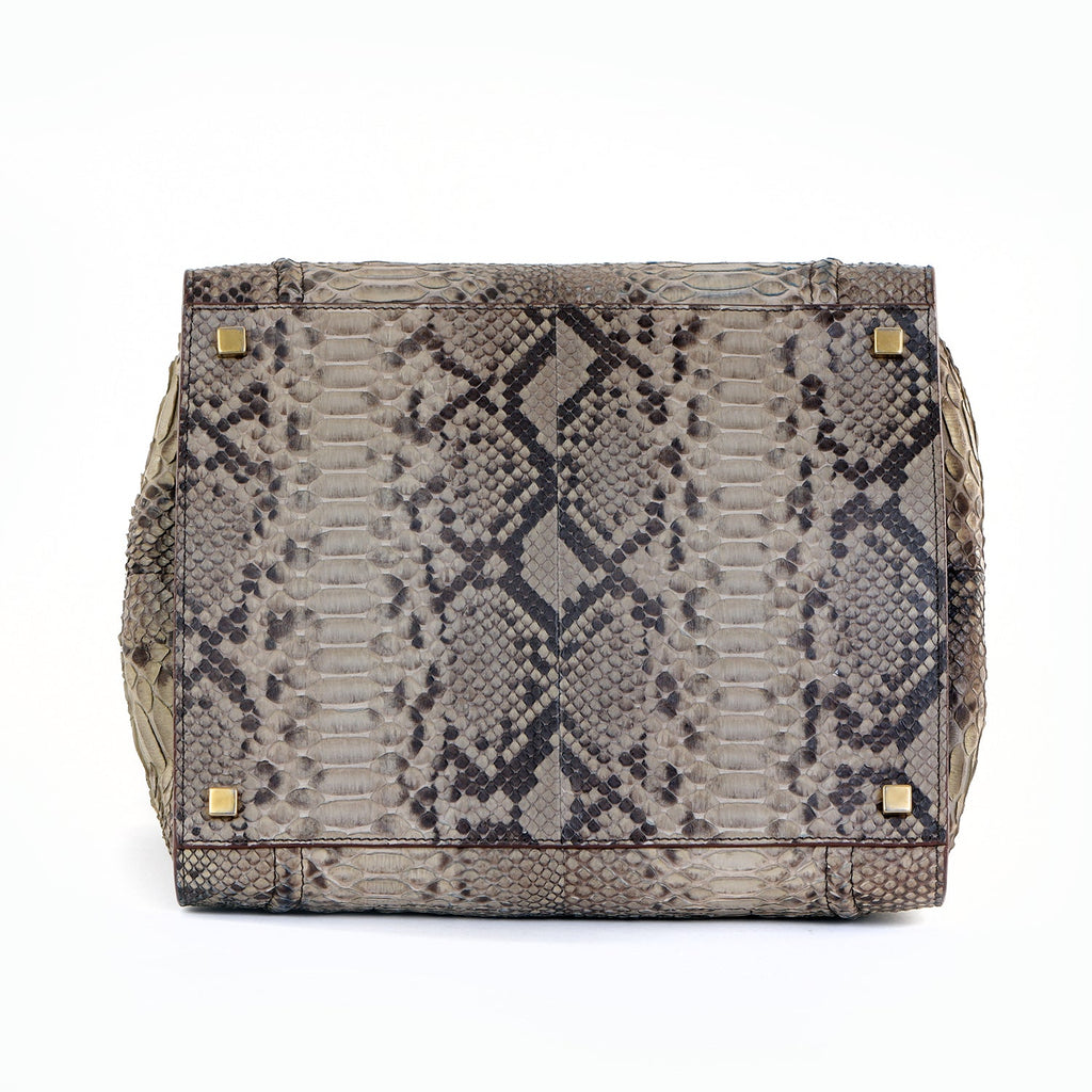 Large Snakeskin Phantom Tote