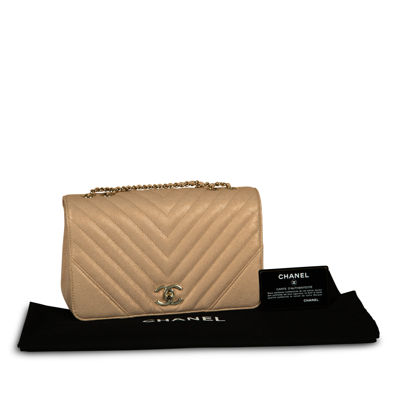Chanel Iridescent Chevron Statement Flap Bag