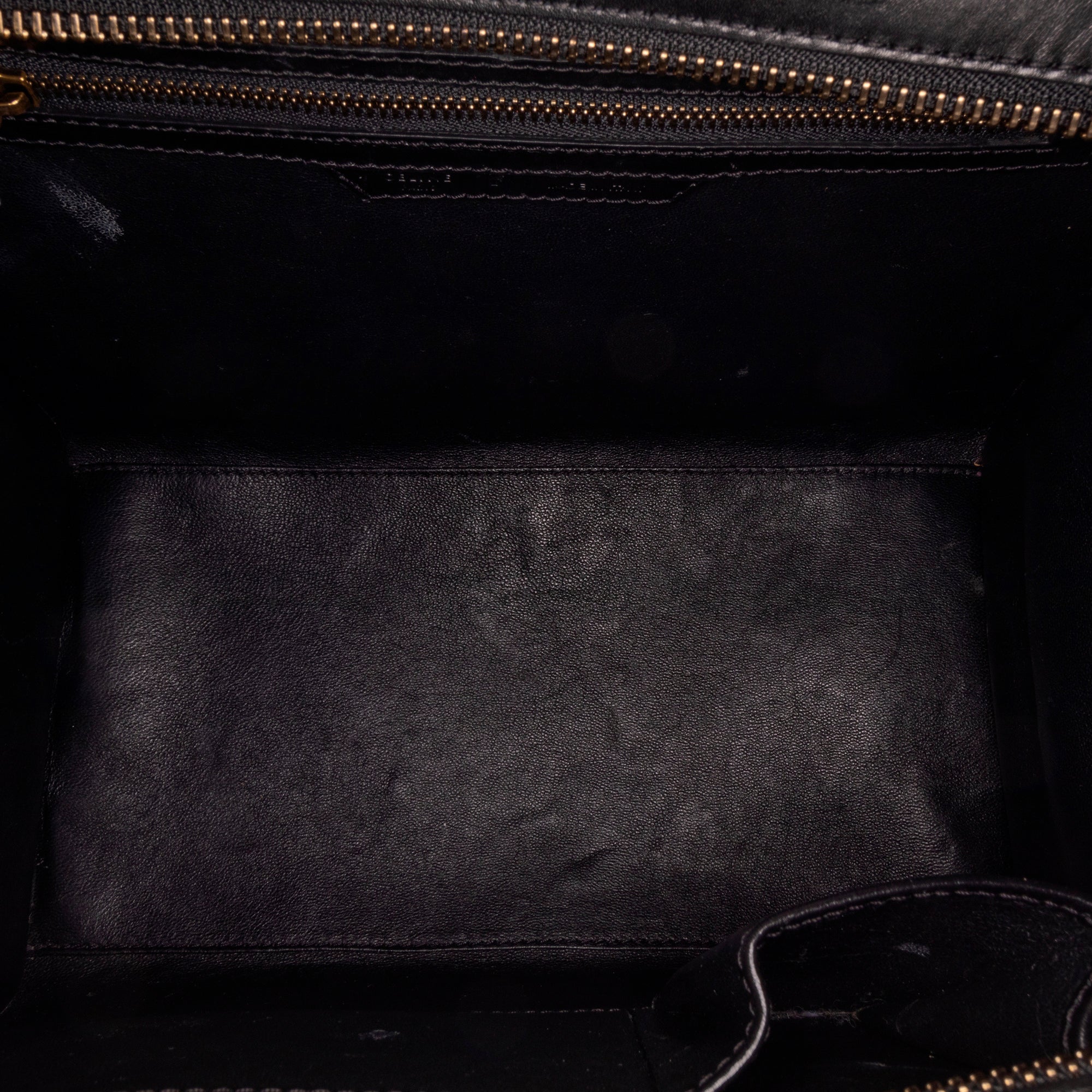 Green Celine Mini Luggage Bicolor Pony Hair Tote Bag