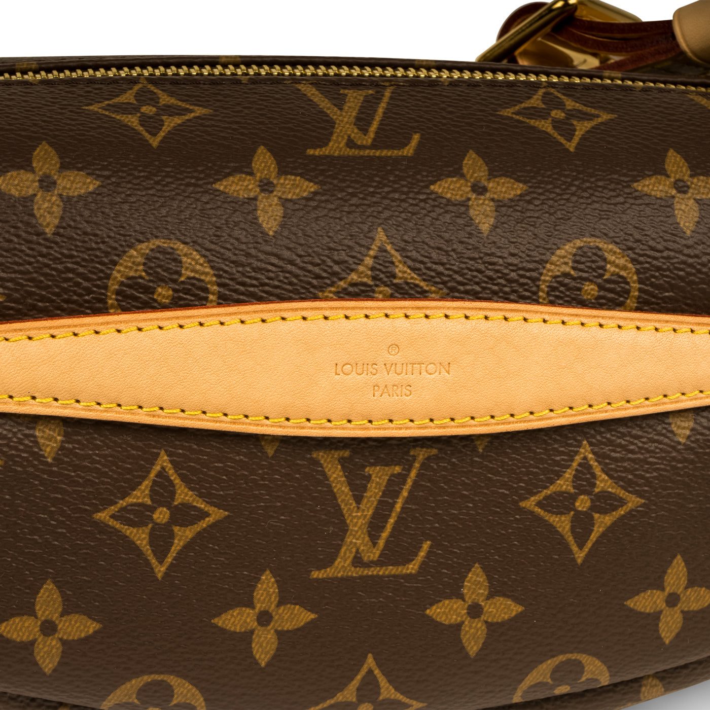 Louis Vuitton Bumbag - Monogram Canvas