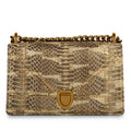 Christian Dior Small Studded Diorama - Python