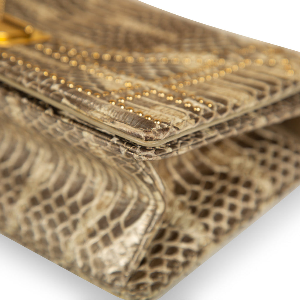 Christian Dior Small Studded Diorama - Python