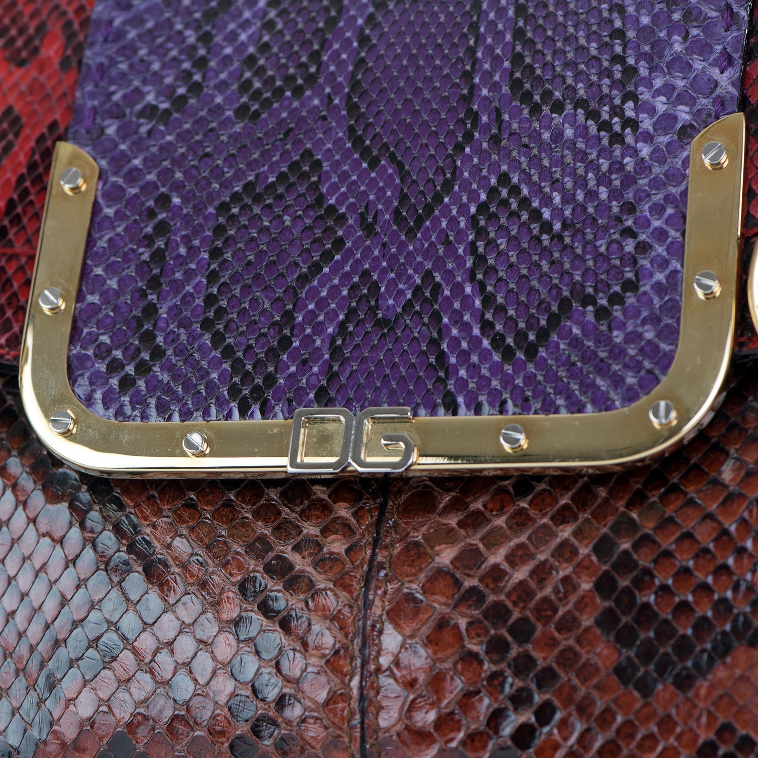 Vintage Snakeskin Bag with Purse