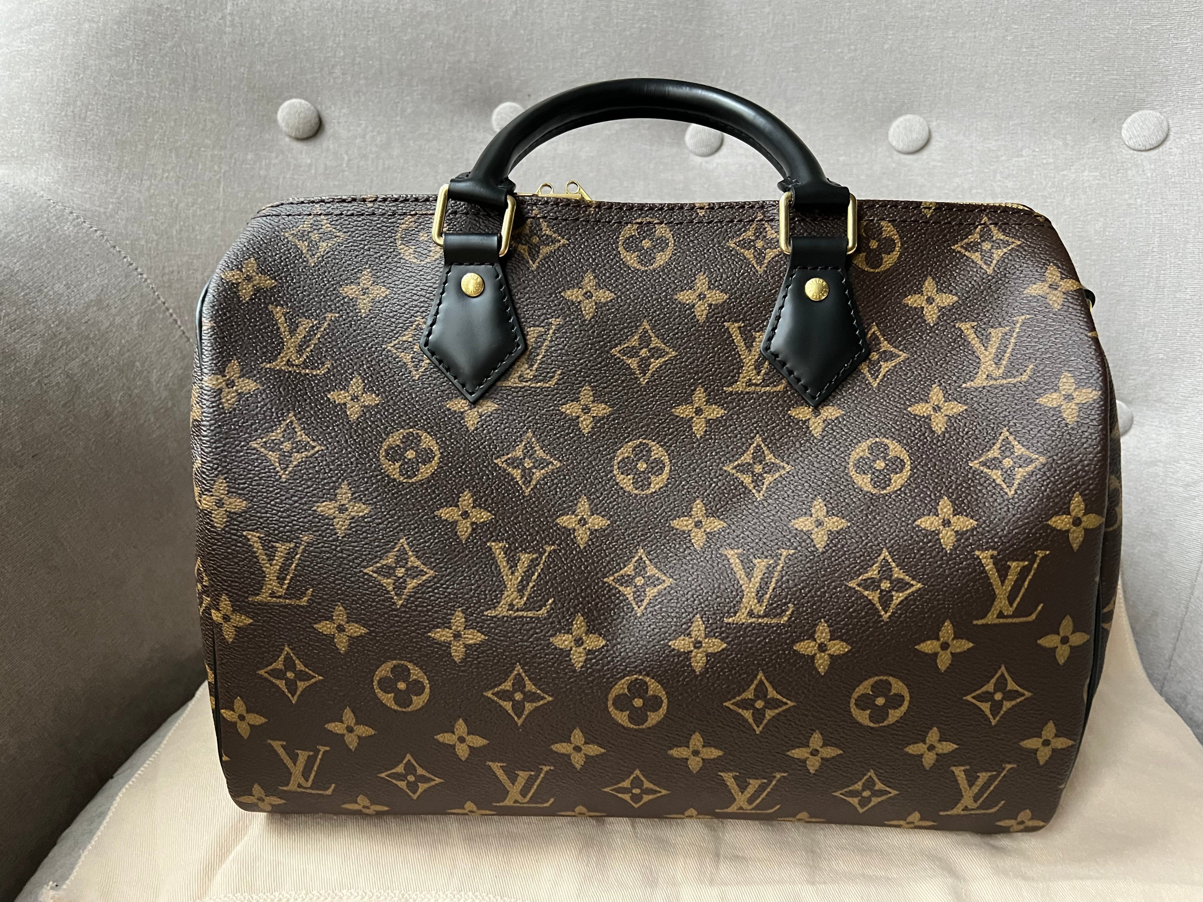 Louis Vuitton My LV World Tour Speedy 30 Bandouliere Monogram (RRP £1740)