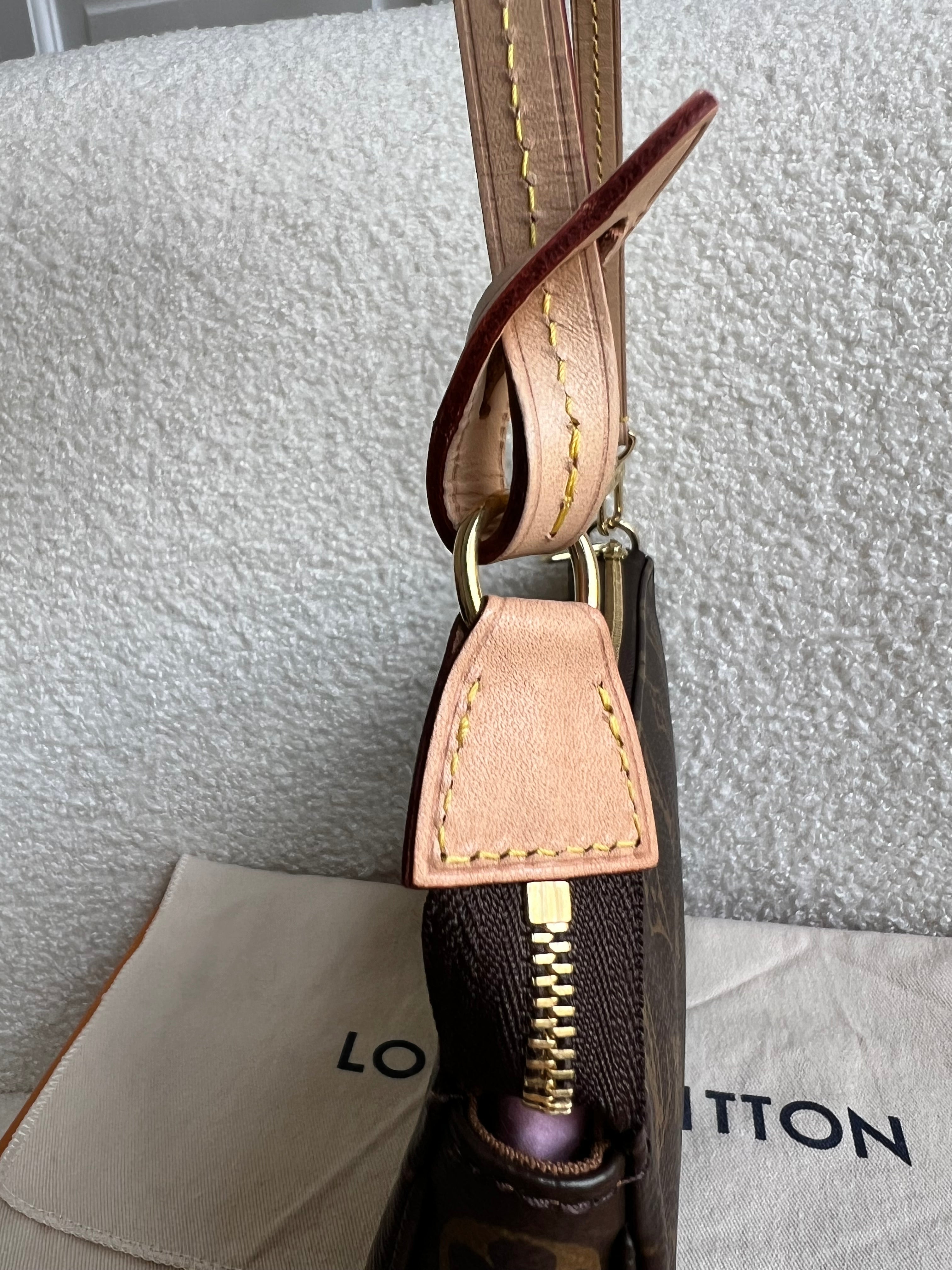 Louis Vuitton Pochette Accessoires Monogram (RRP £970)