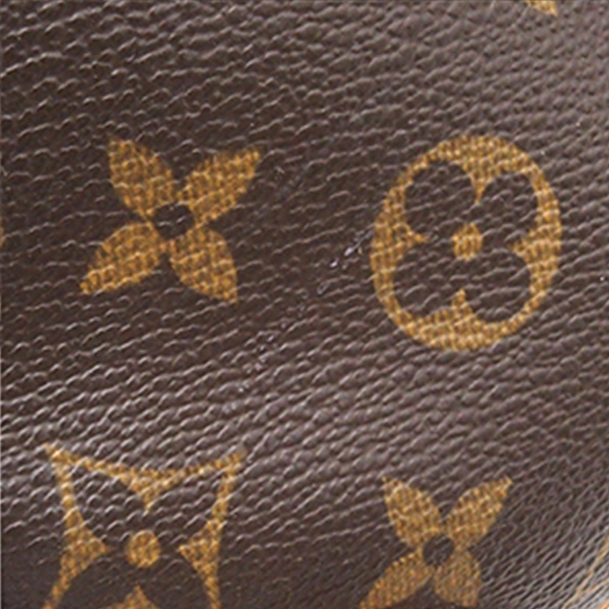 Brown Louis Vuitton Monogram Nil Crossbody Bag