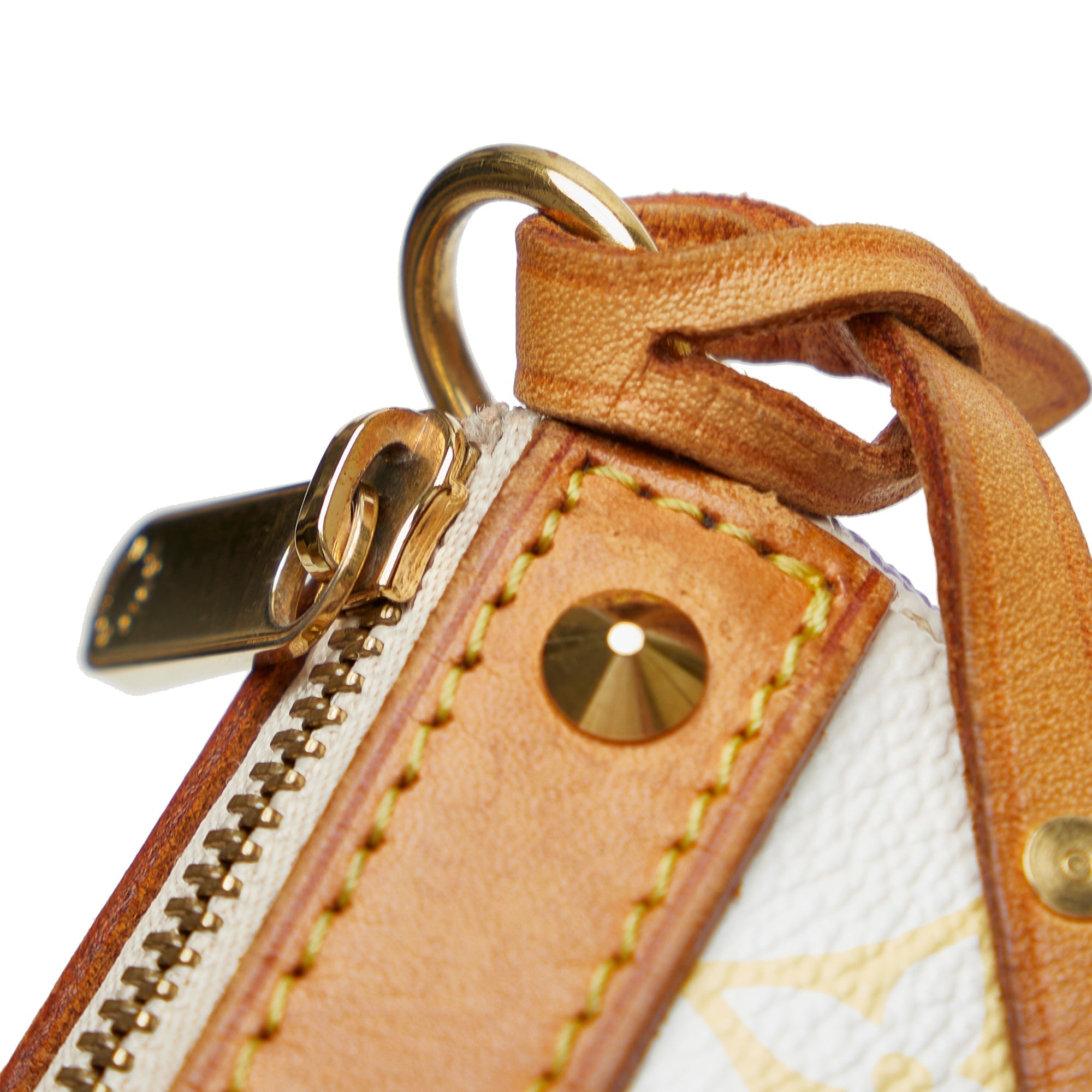 Louis Vuitton Pochette Accessoires Multicolor Monogram Canvas