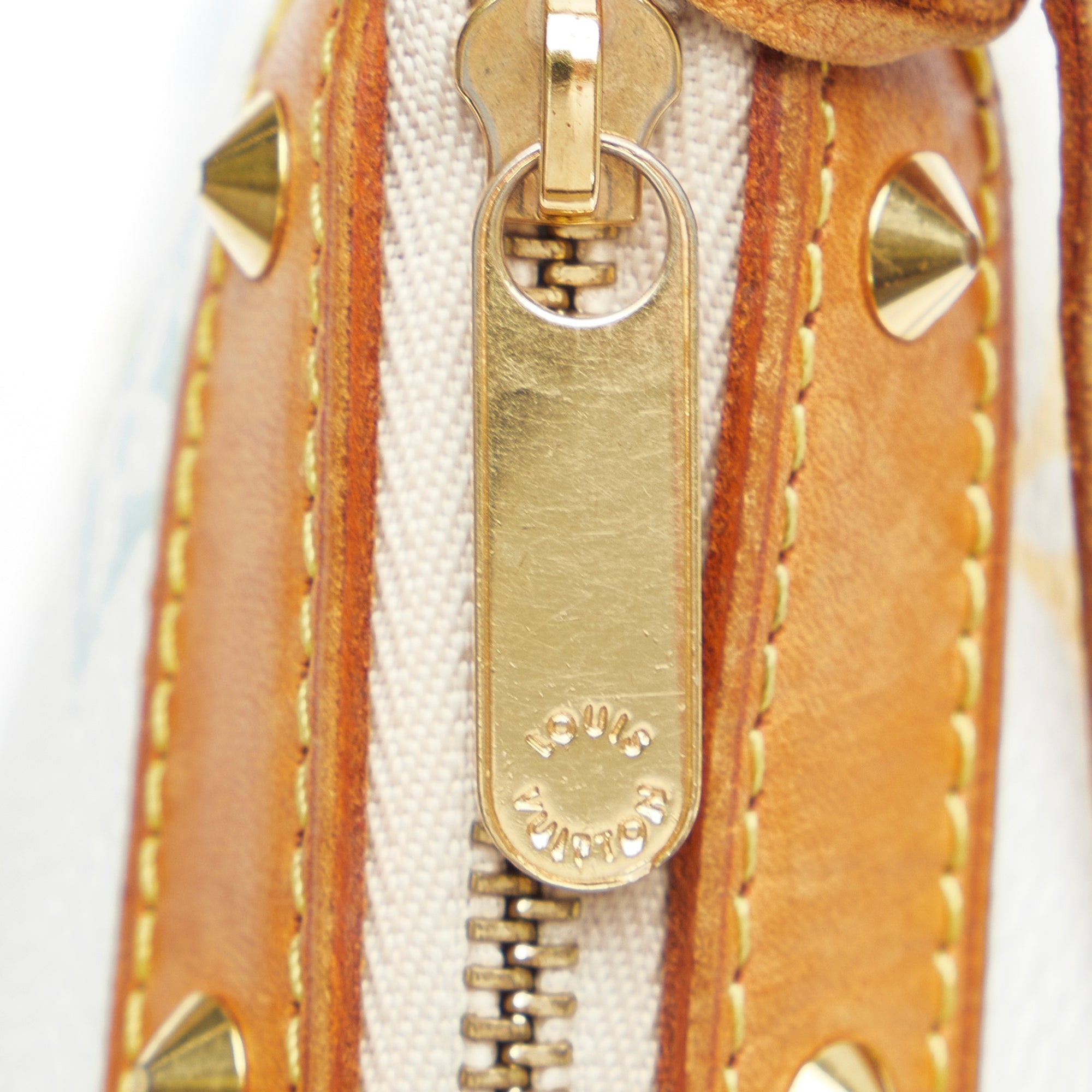 Louis Vuitton Pochette Accessoires Multicolor Monogram Canvas