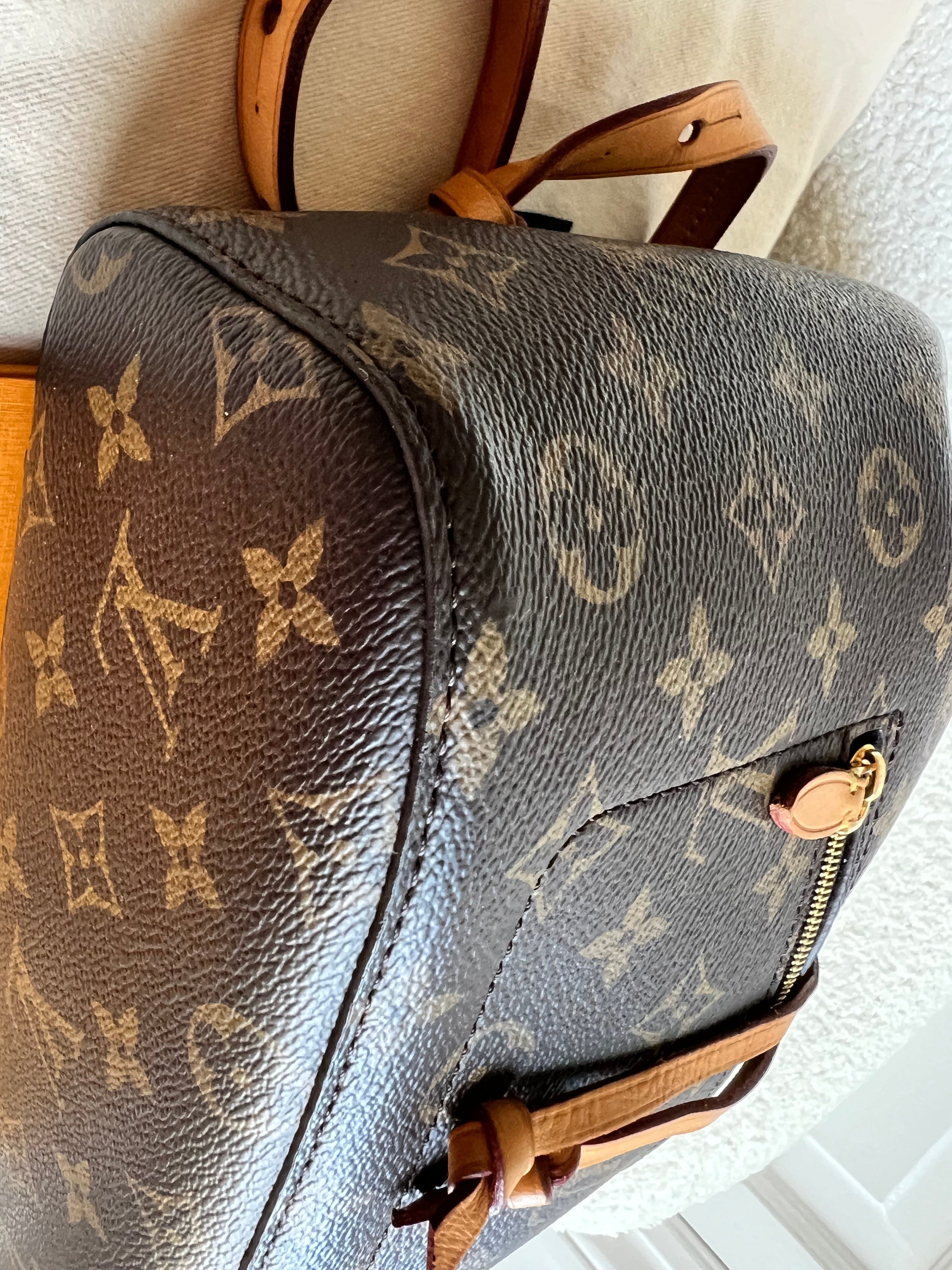 Louis Vuitton Montsouris PM Backpack (£1980)