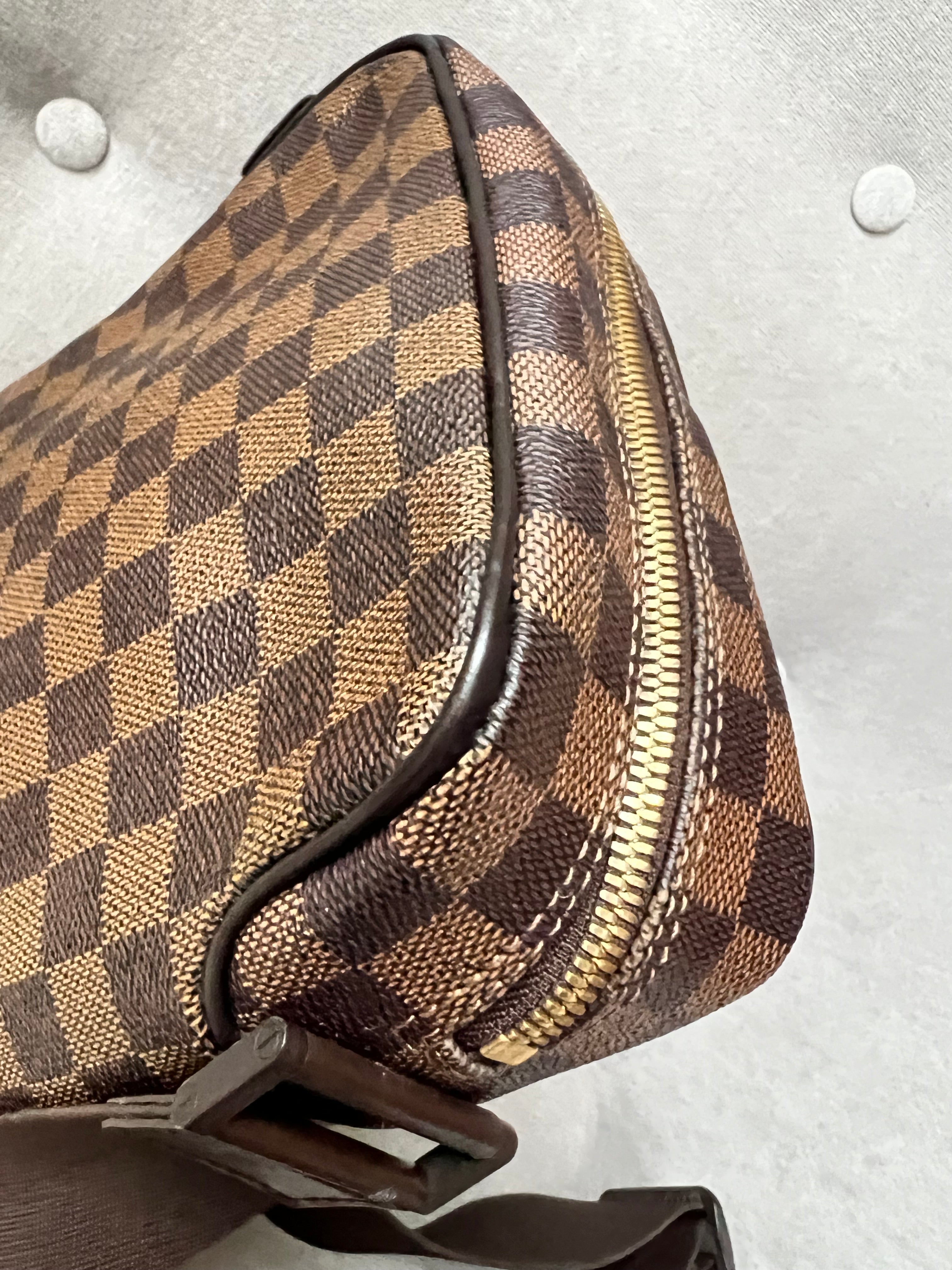 Louis Vuitton Olav PM Damier Ebene