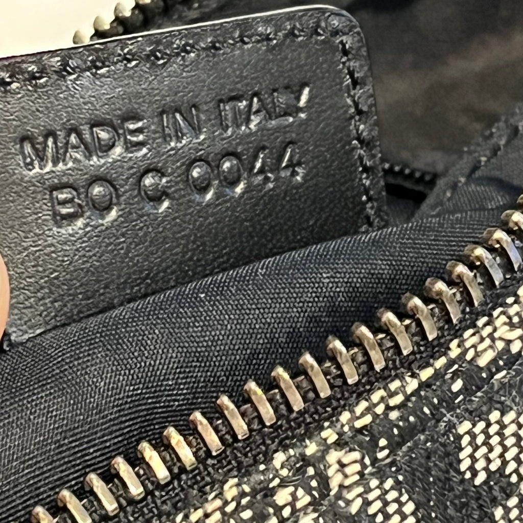 CHRISTIAN DIOR Trotter Canvas Satchel