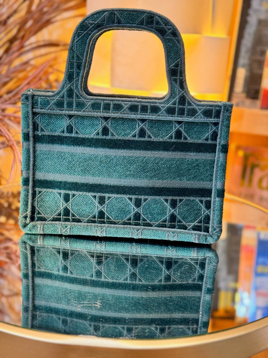 DIOR Mini Book Tote