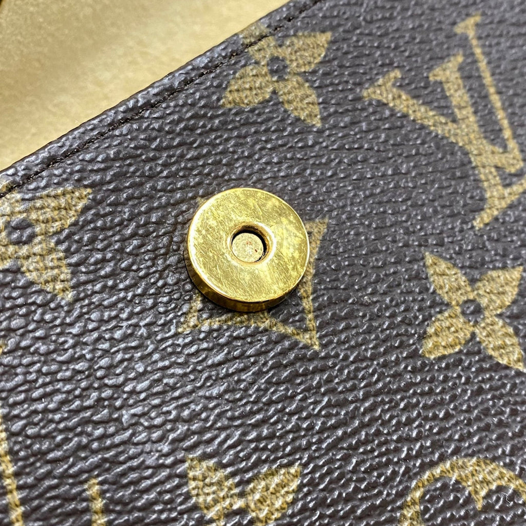 Brown Louis Vuitton Monogram Pochette Florentine Belt Bag