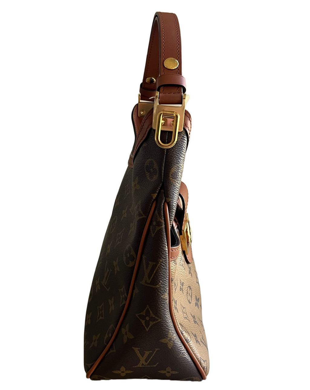 Louis Vuitton Dauphine Hobo PM Reverse Monogram