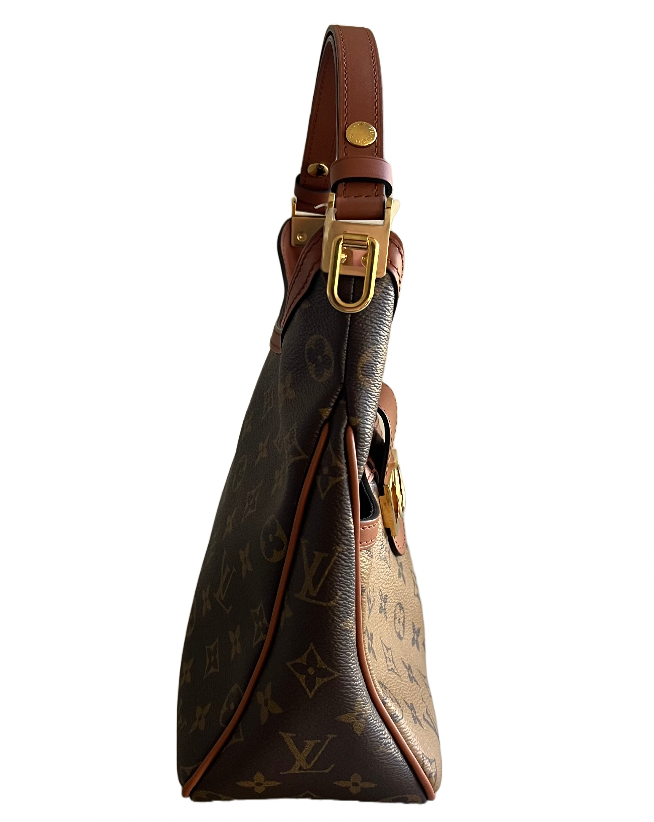 Louis Vuitton Dauphine Hobo PM Reverse Monogram