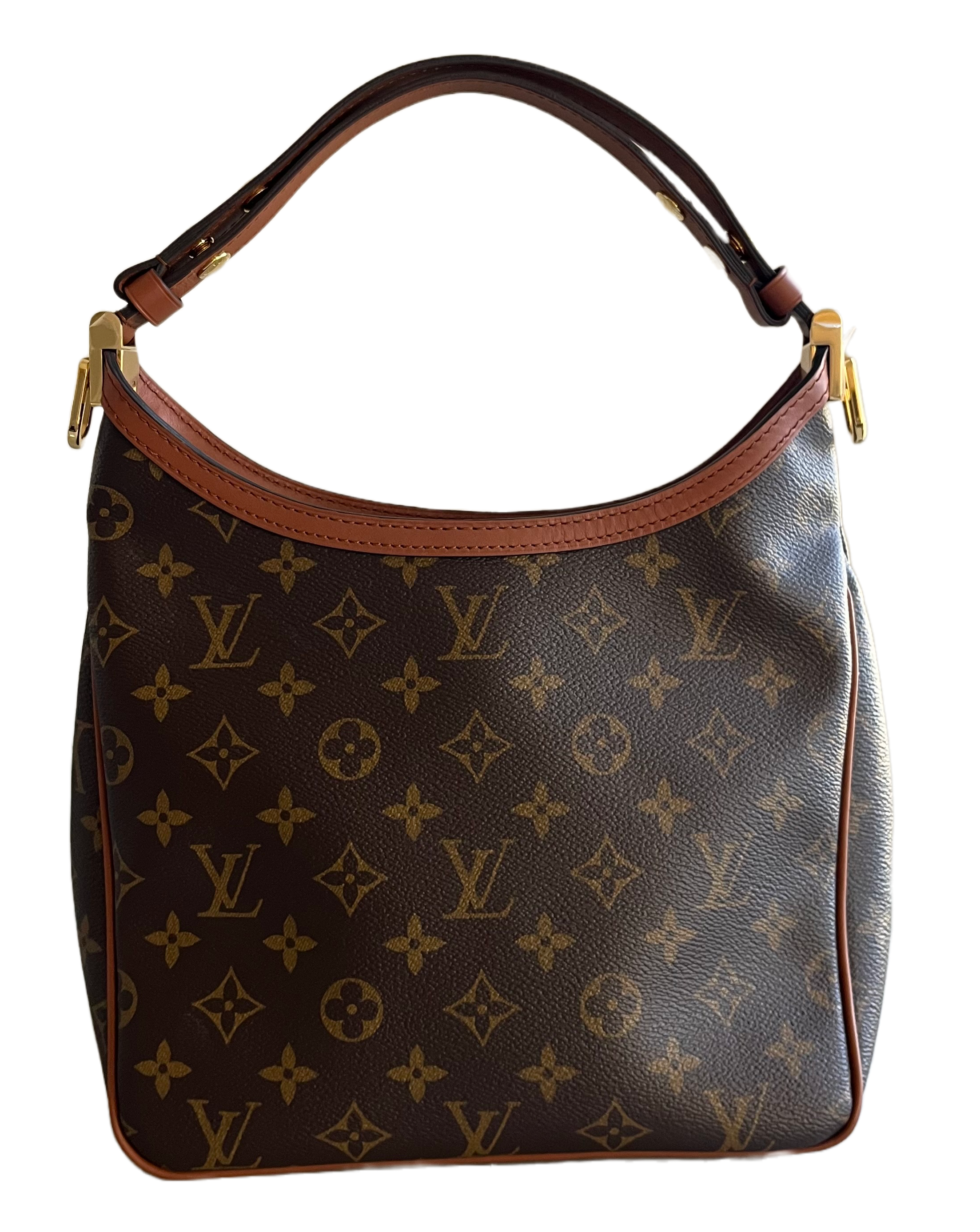 Louis Vuitton Dauphine Hobo PM Reverse Monogram