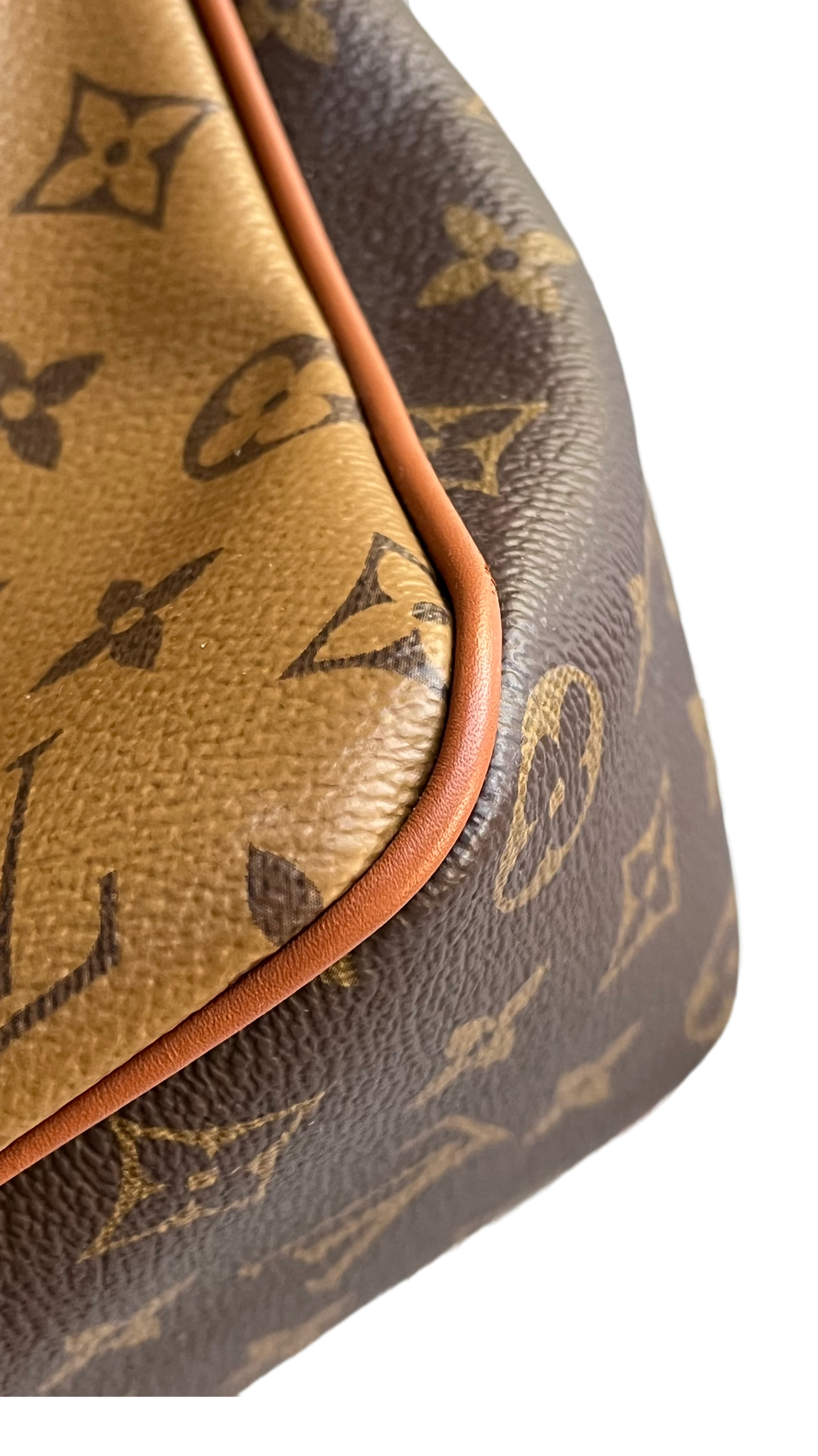 Louis Vuitton Dauphine Hobo PM Reverse Monogram