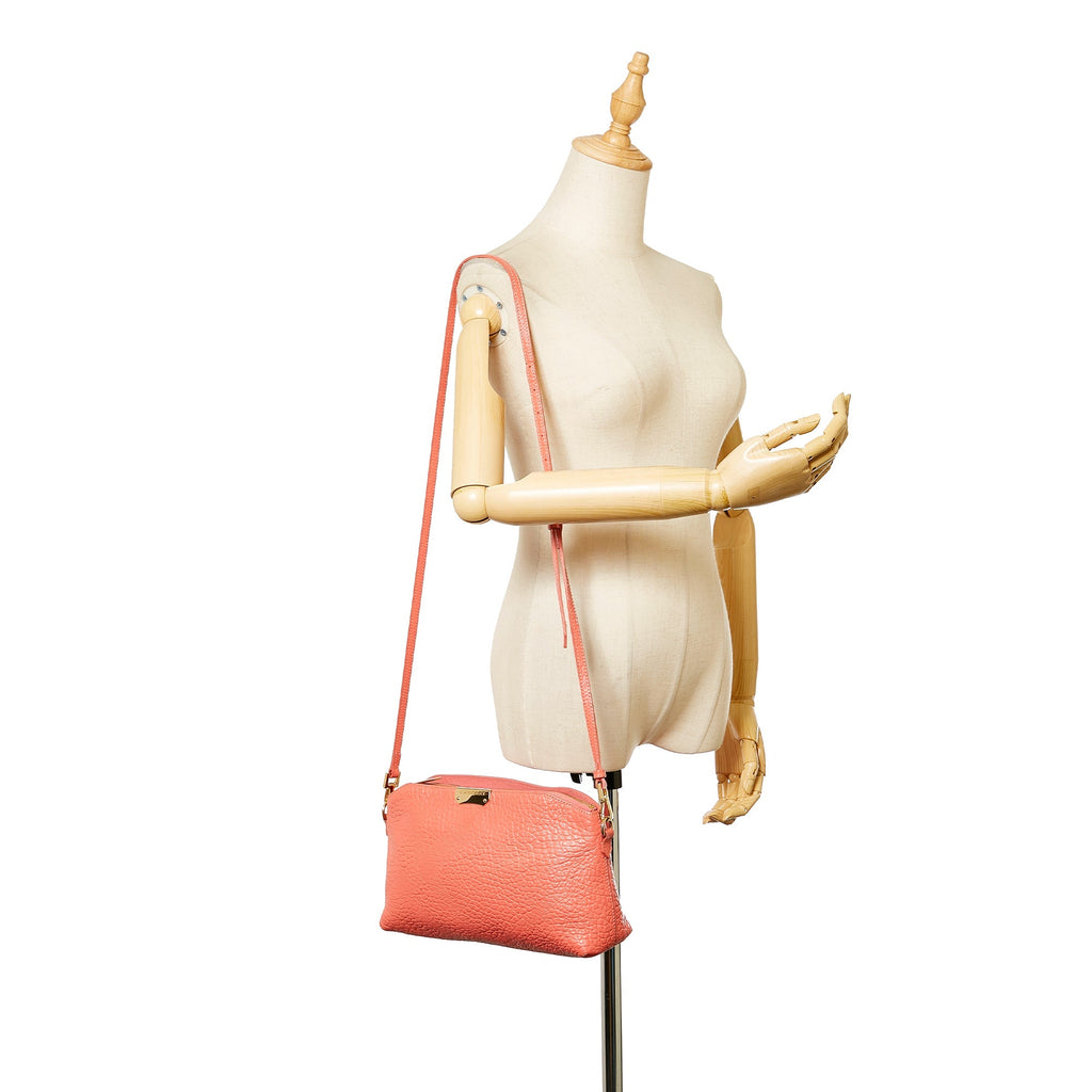 Burberry Chichester Crossbody Bag Pink