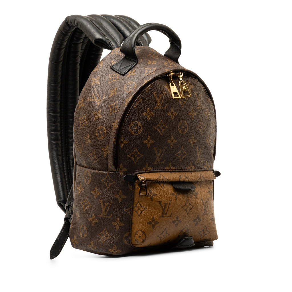 Brown Louis Vuitton Monogram Reverse Palm Springs PM Backpack