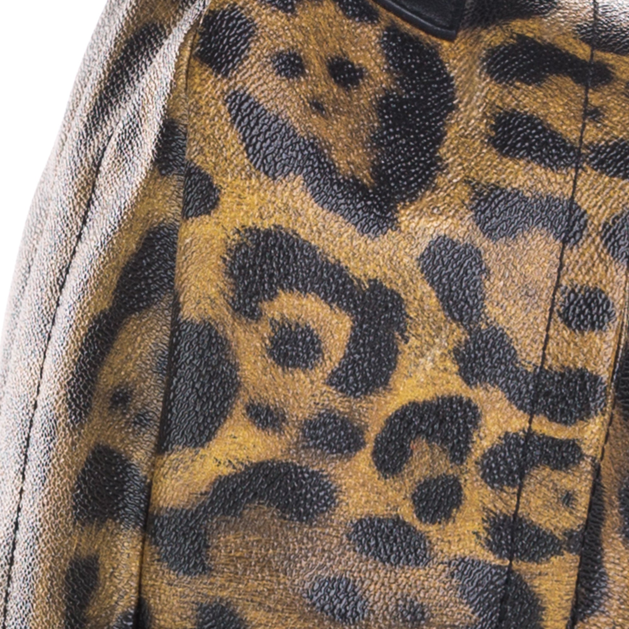 Brown Louis Vuitton Wild Animal Palm Springs PM Backpack