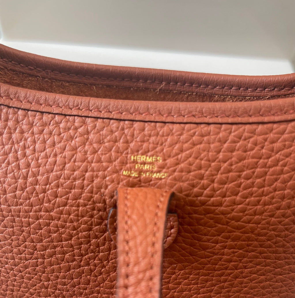 HERMÈS CLEMENCE MINI EVELYN TPM CROSSBODY BAG IN ROUGE PIVOINE