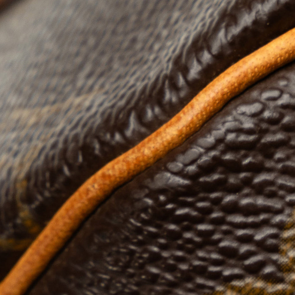 Brown Louis Vuitton Monogram Speedy 25 Boston Bag