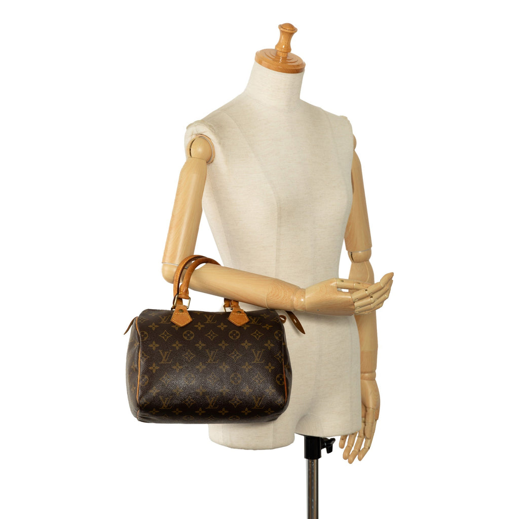 Brown Louis Vuitton Monogram Speedy 25 Boston Bag