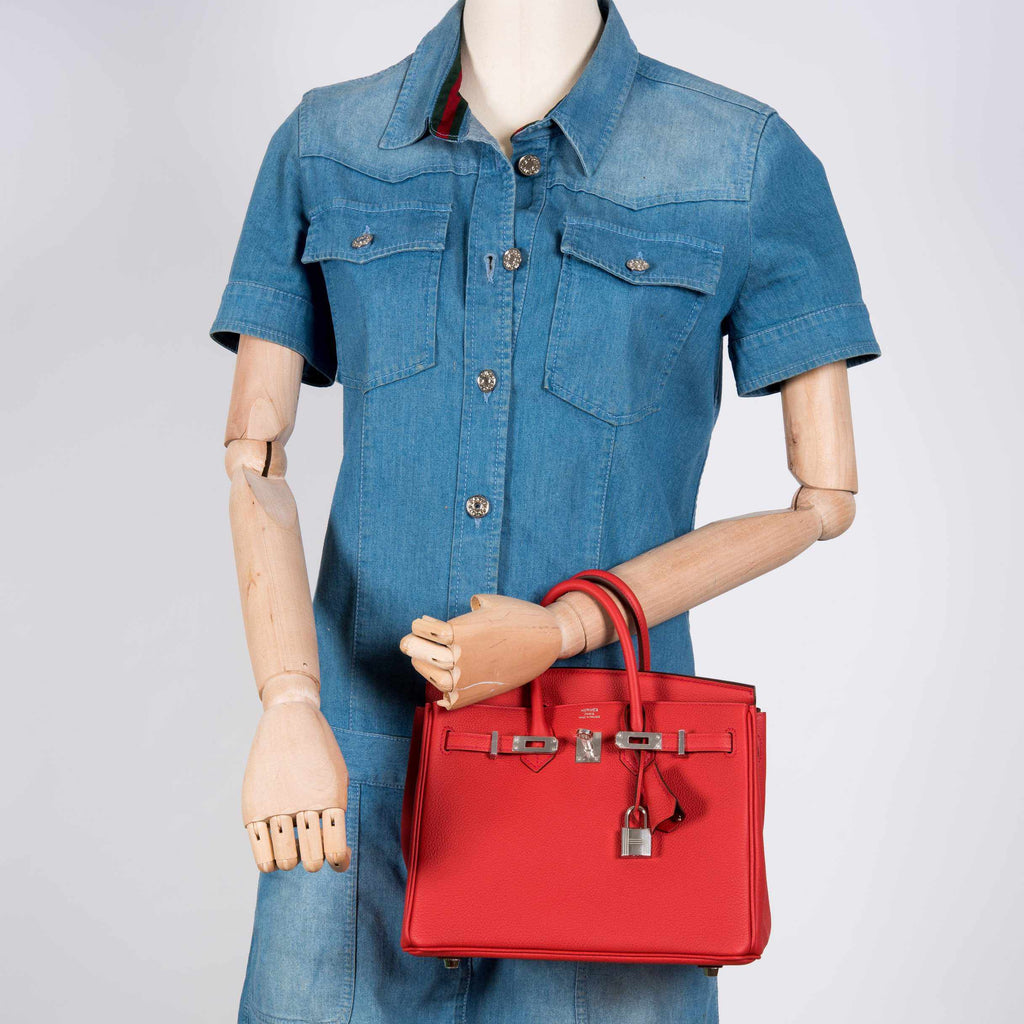 HermÃƒÆ’Ã‚Â¨s Birkin 25Ãƒâ€šÃ‚Â Geranium Togo Palladium Hardware