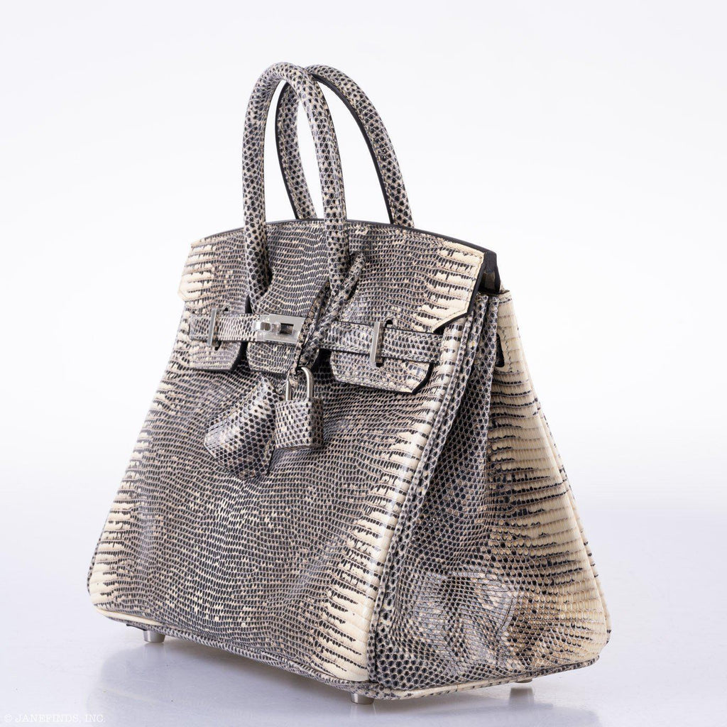 HermÃƒÆ’Ã‚Â¨s Birkin 25 Ombre Lizard Palladium Hardware