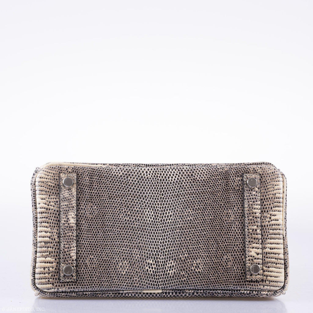 HermÃƒÆ’Ã‚Â¨s Birkin 25 Ombre Lizard Palladium Hardware