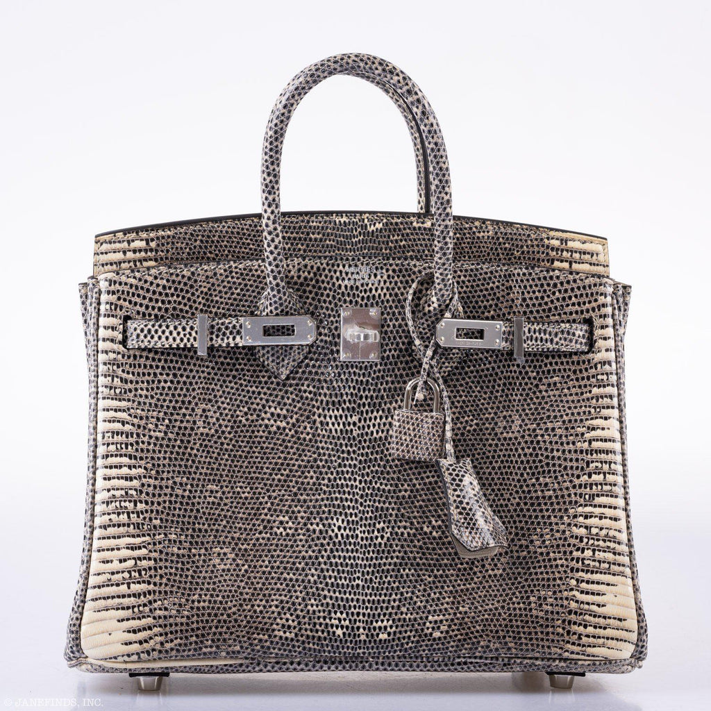 HermÃƒÆ’Ã‚Â¨s Birkin 25 Ombre Lizard Palladium Hardware