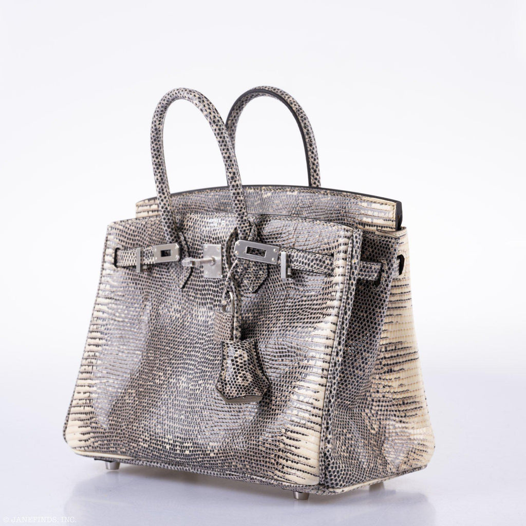 HermÃƒÆ’Ã‚Â¨s Birkin 25 Ombre Lizard Palladium Hardware