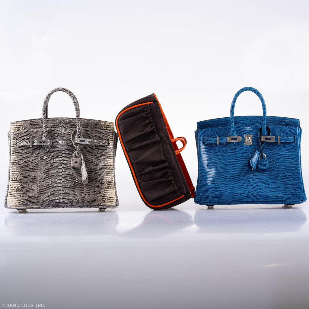 HermÃƒÆ’Ã‚Â¨s Birkin 25 Ombre Lizard Palladium Hardware