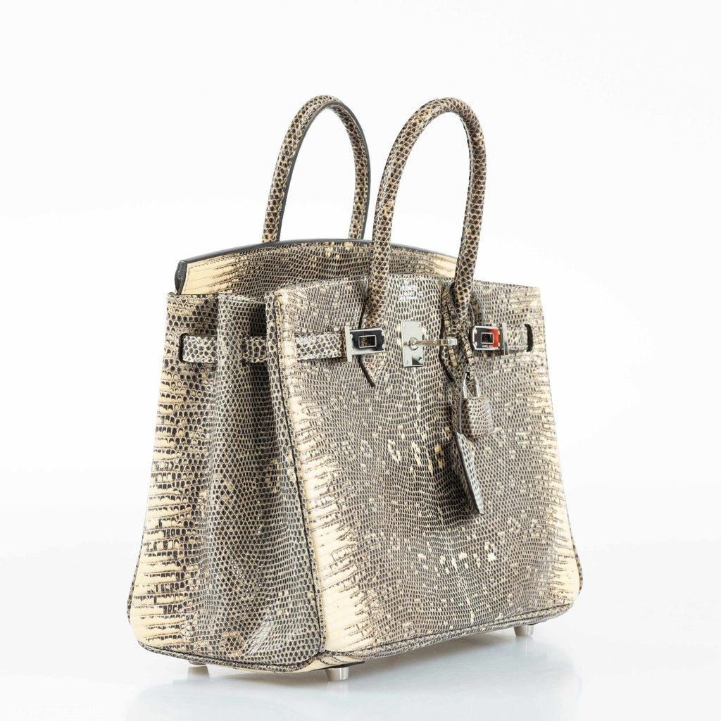 HermÃƒÆ’Ã‚Â¨s Birkin 25 Ombre Lizard Palladium Hardware - Rare