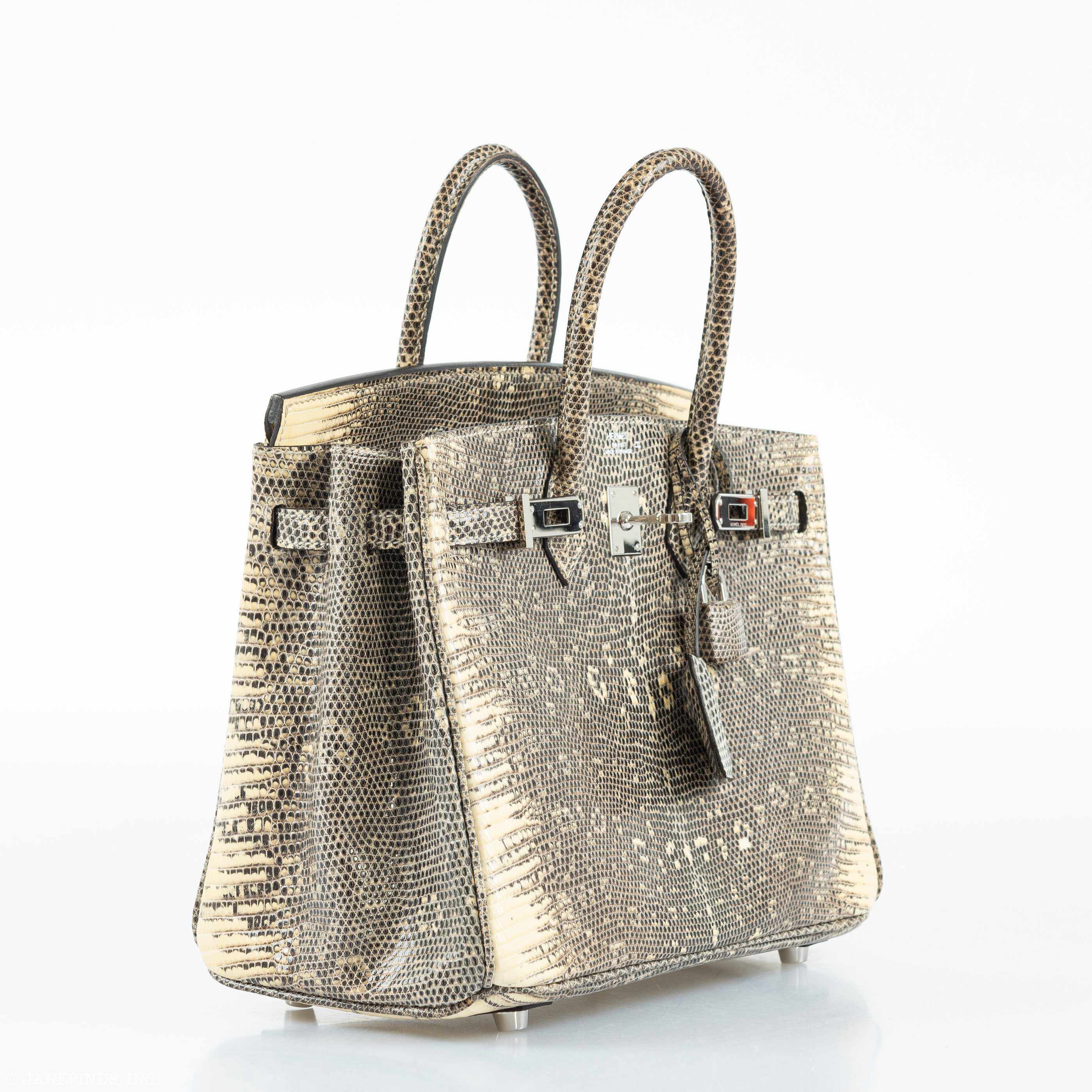 HermÃƒÆ’Ã‚Â¨s Birkin 25 Ombre Lizard Palladium Hardware - Rare