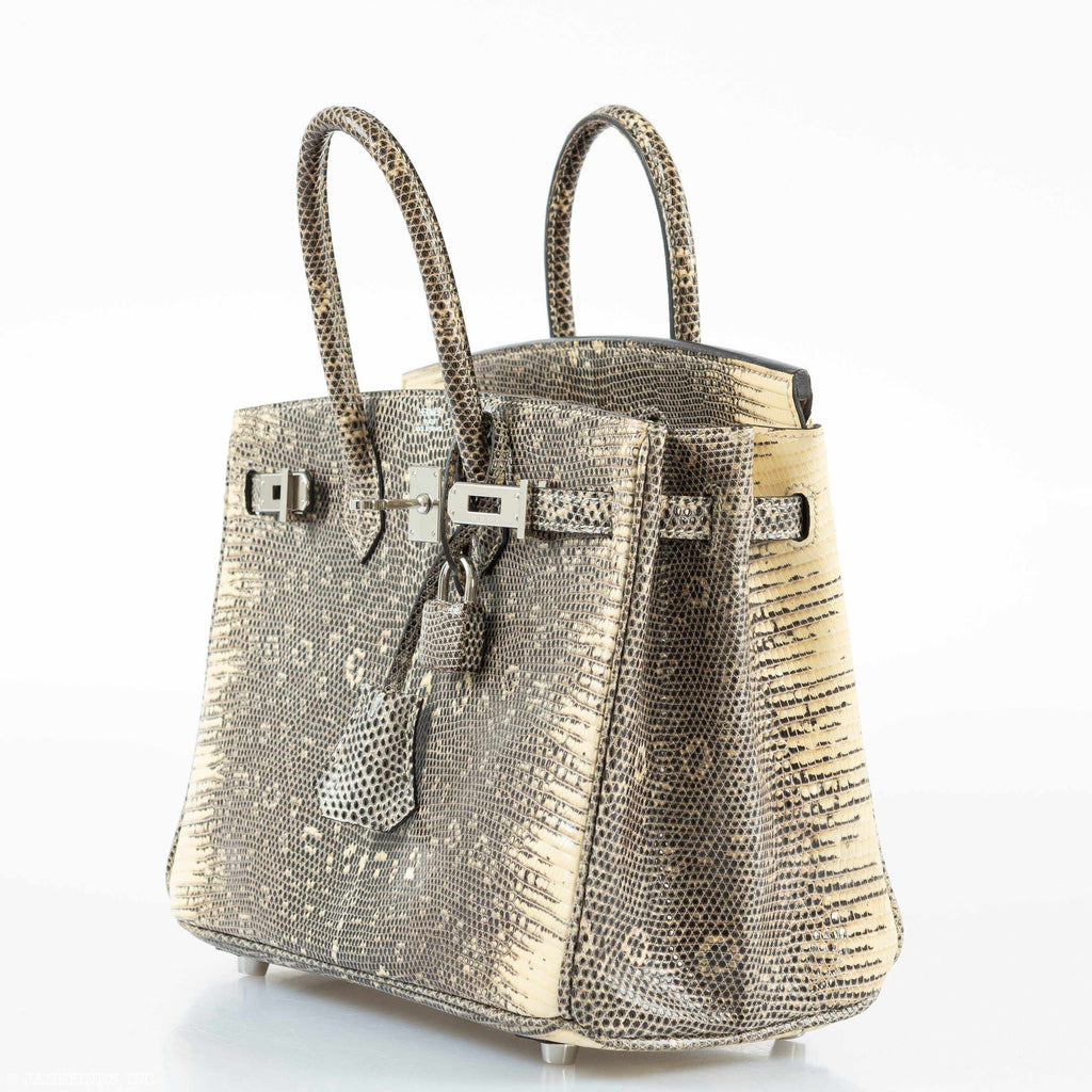 HermÃƒÆ’Ã‚Â¨s Birkin 25 Ombre Lizard Palladium Hardware - Rare