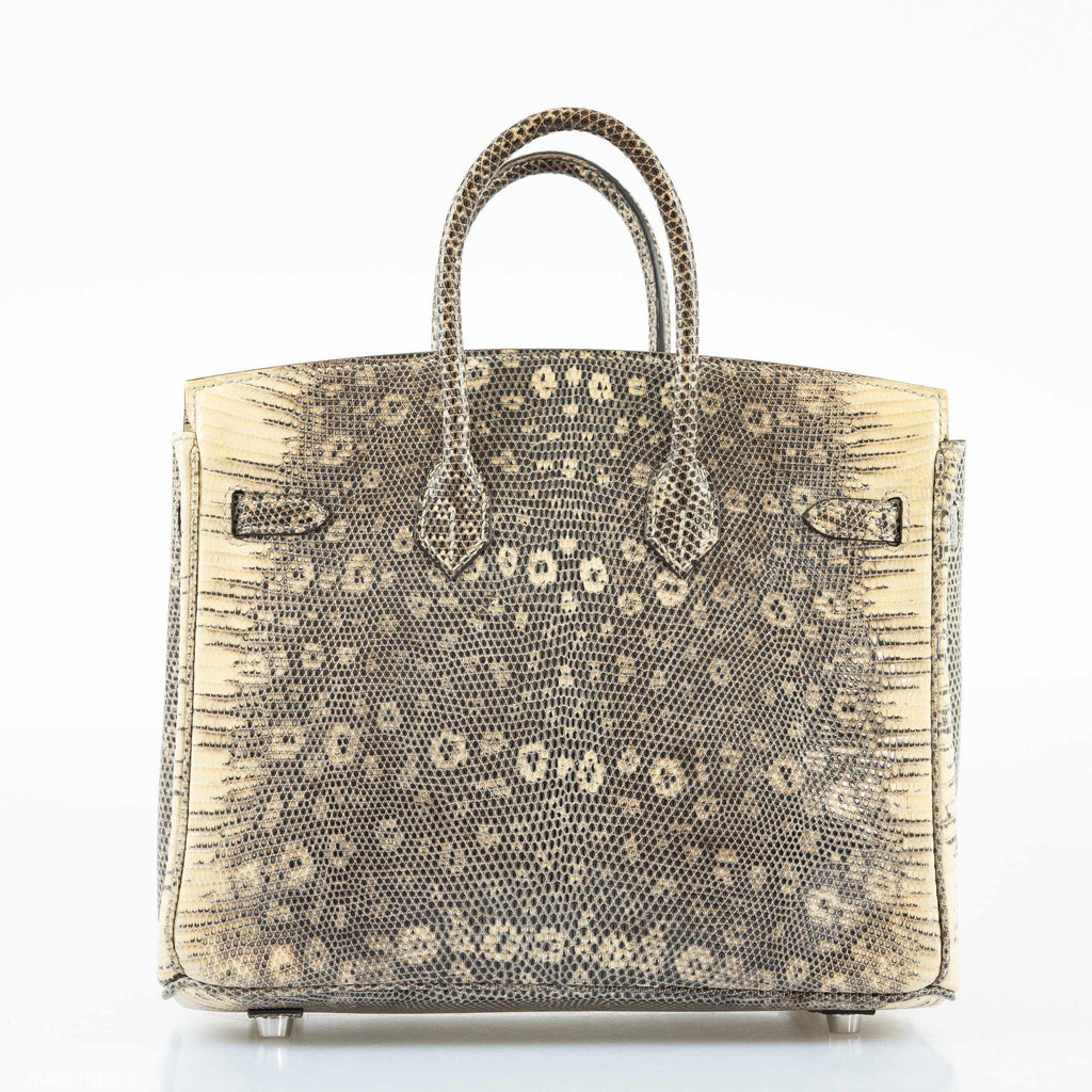HermÃƒÆ’Ã‚Â¨s Birkin 25 Ombre Lizard Palladium Hardware - Rare