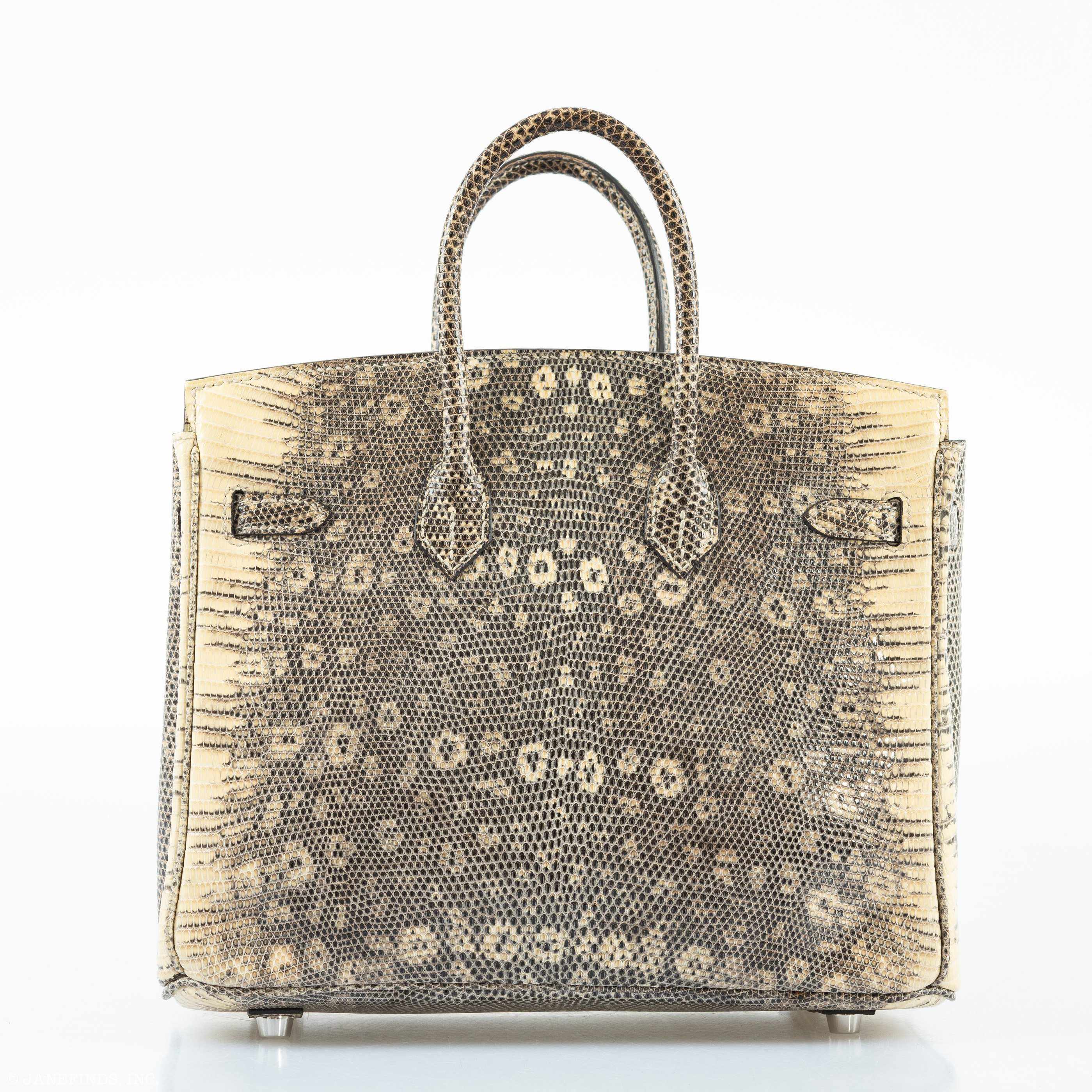 HermÃƒÆ’Ã‚Â¨s Birkin 25 Ombre Lizard Palladium Hardware - Rare