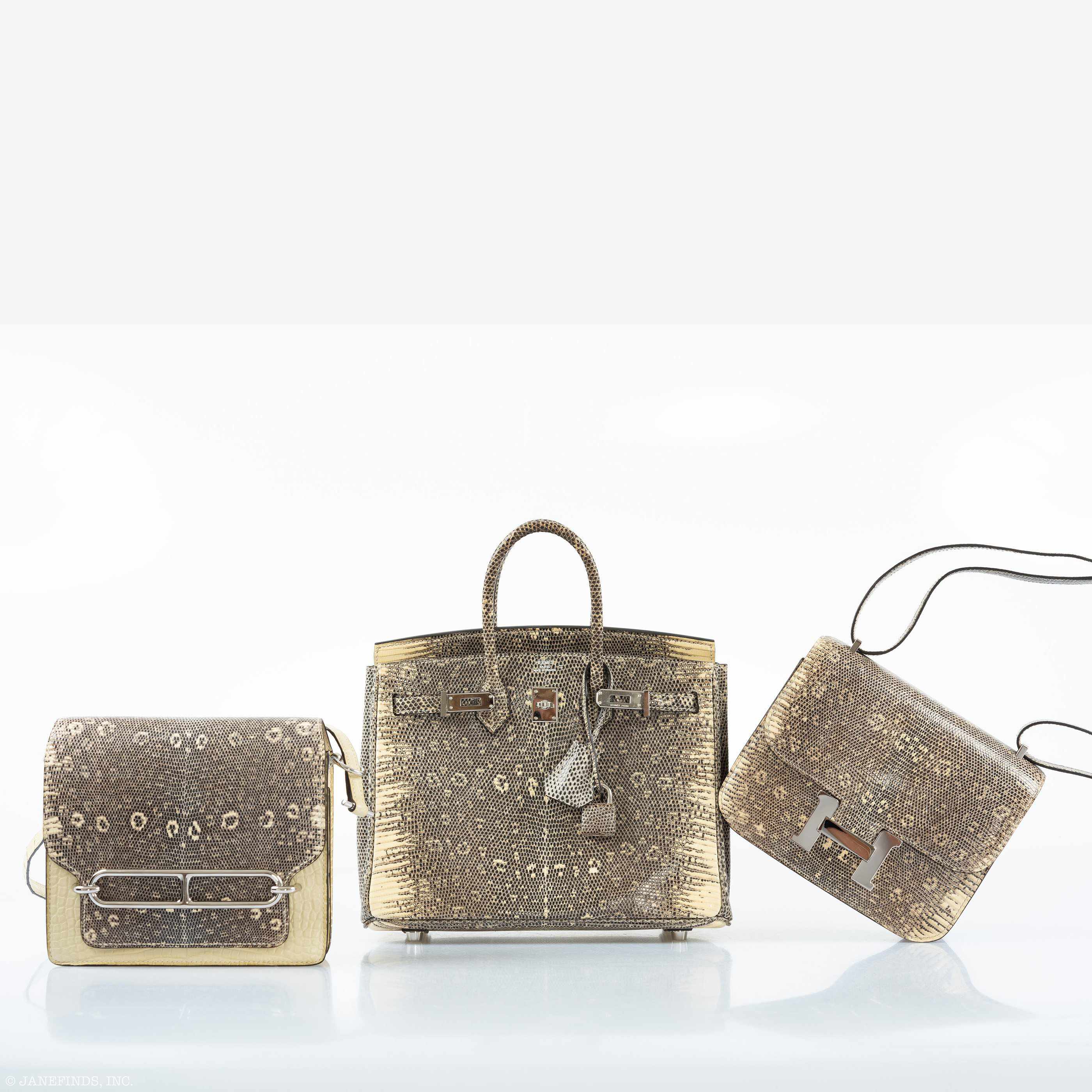 HermÃƒÆ’Ã‚Â¨s Birkin 25 Ombre Lizard Palladium Hardware - Rare